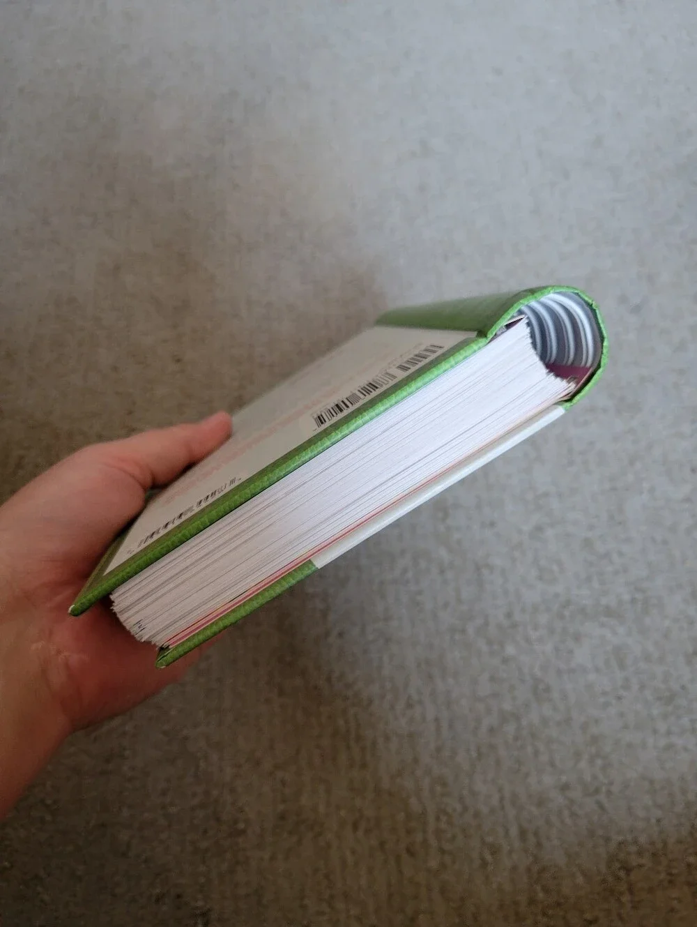 Organize NOW! Home Organization Planner Journal